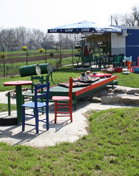 Šapa inn pansion za pse Boljevac