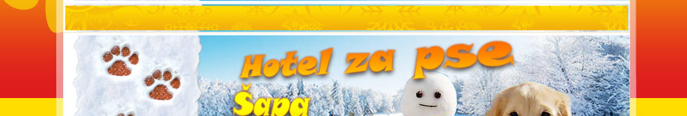 Šapa Inn Pansion za pse Boljevci