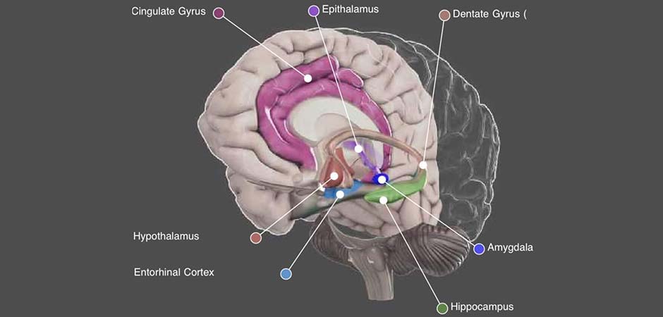 SPECIJALISTIČKA ORDINACIJA ZA NEUROLOGIJU I PSIHIJATRIJU DOKTOR VESA