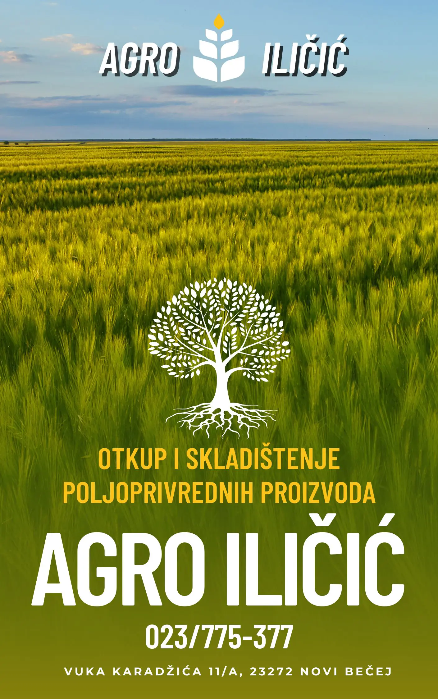 Otkup i skladištenje poljoprivrednih proizvoda Agro Iličić doo