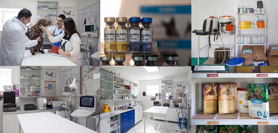 DOKI-VET VETERINARSKA STANICA