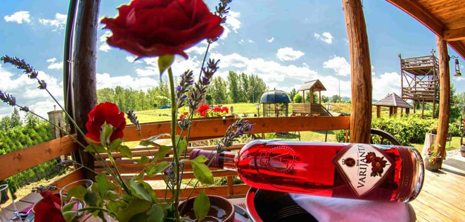 Salaš-Drevna-u-Novome-Sadu