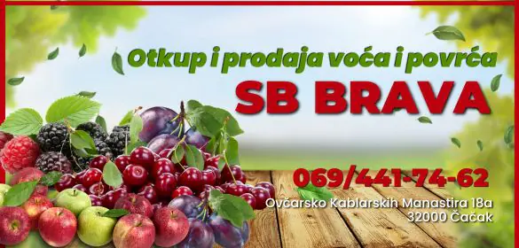 SB Brava doo otkup i prodaja voća i povrća Čačak