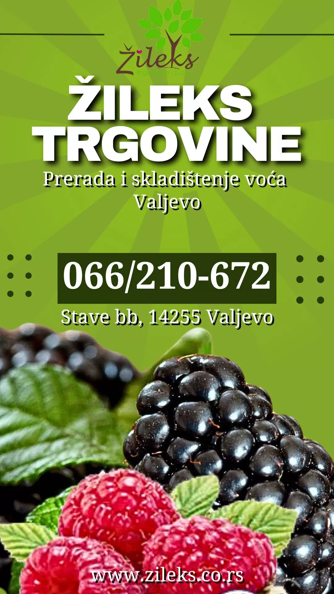 Prerada i skladištenje voća Žileks-Trgovina doo Valjevo