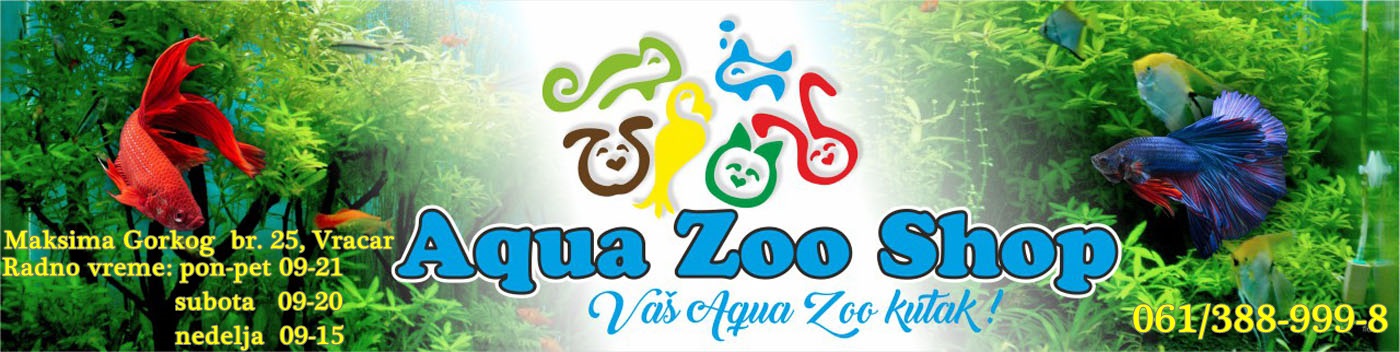 akvarijumske ribice beograd
