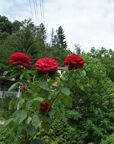 apartmani mero prolom banja