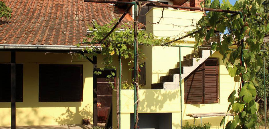 Kuća za odmor i ribolov na Dunavu Silver Fish Stara Palanka