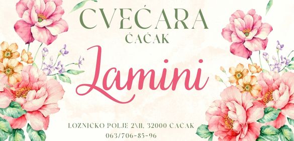 Cvećara Lamini Čačak-buketi, ikebane, suze Čačak