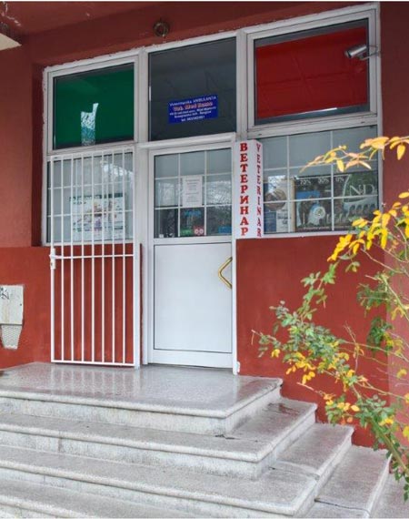 VetHome je veterinarska ambulanta Beograd