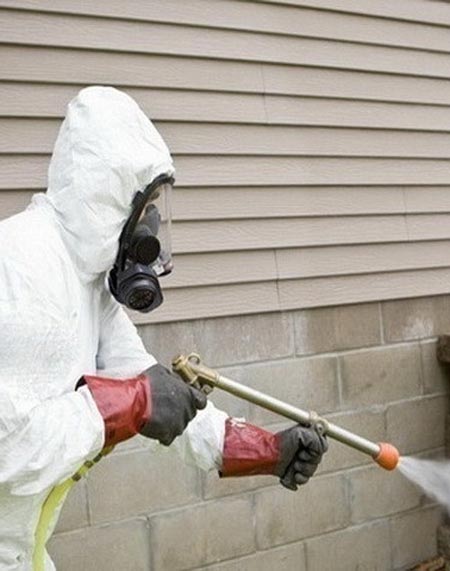 Prskanje insekata i buba po stanovima dezinsekcija Ema i San Beograd