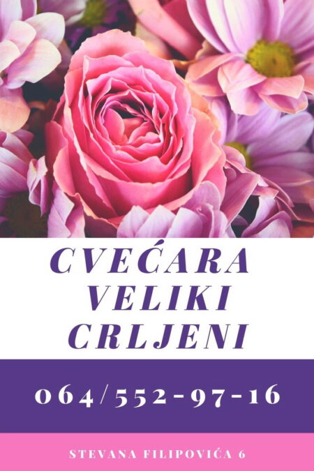 cvećara veliki crljeni