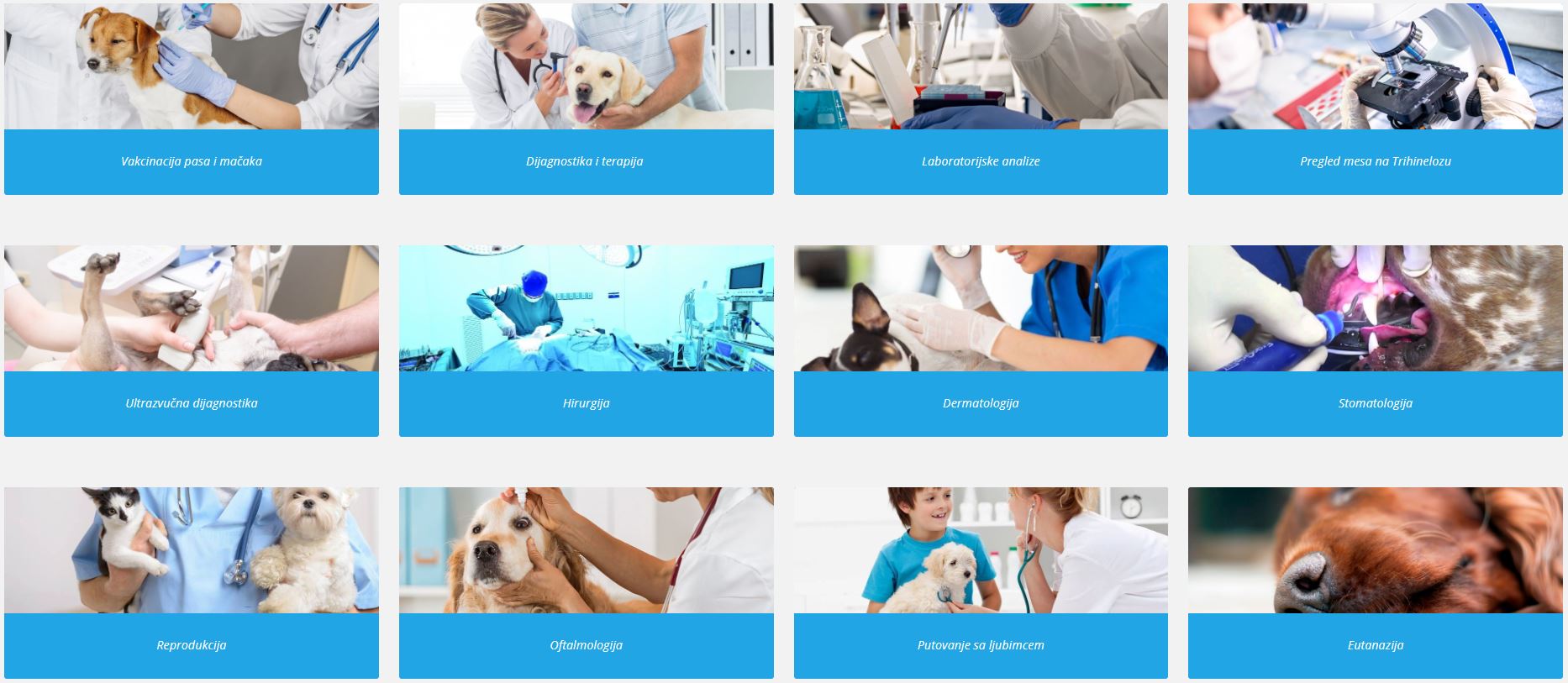 Veterinarska ambulanta MedikaVet Kragujevac