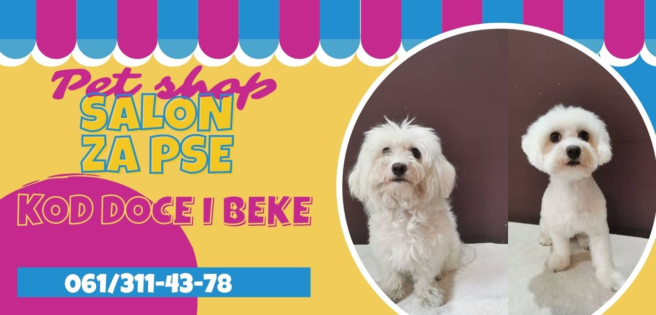 pet shop kod doce i beke