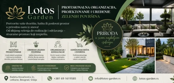 Profesionalna organizacija, projektovanje i uređenje zelenih površina Lotos Garden
